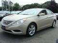 Camel Pearl - Sonata GLS Photo No. 3