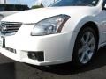 Winter Frost Pearl - Maxima 3.5 SE Photo No. 4