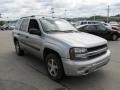 Silverstone Metallic - TrailBlazer LS 4x4 Photo No. 8