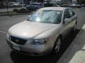 Golden Beige - Sonata LX V6 Photo No. 6