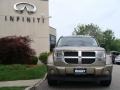 2007 Light Khaki Metallic Dodge Nitro SLT 4x4  photo #2