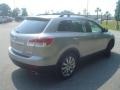 Liquid Platinum Metallic - CX-9 Touring Photo No. 5