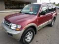 2002 Cambridge Red Pearlescent Mitsubishi Montero XLS 4x4  photo #8