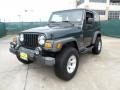 2004 Shale Green Metallic Jeep Wrangler X 4x4  photo #7