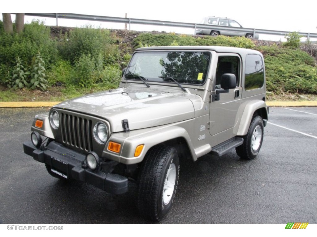 2004 Wrangler Sahara 4x4 - Light Khaki Metallic / Khaki photo #2