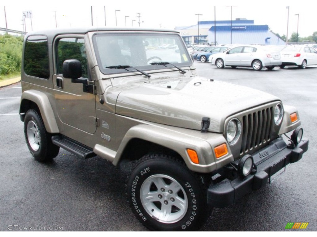 2004 Wrangler Sahara 4x4 - Light Khaki Metallic / Khaki photo #4