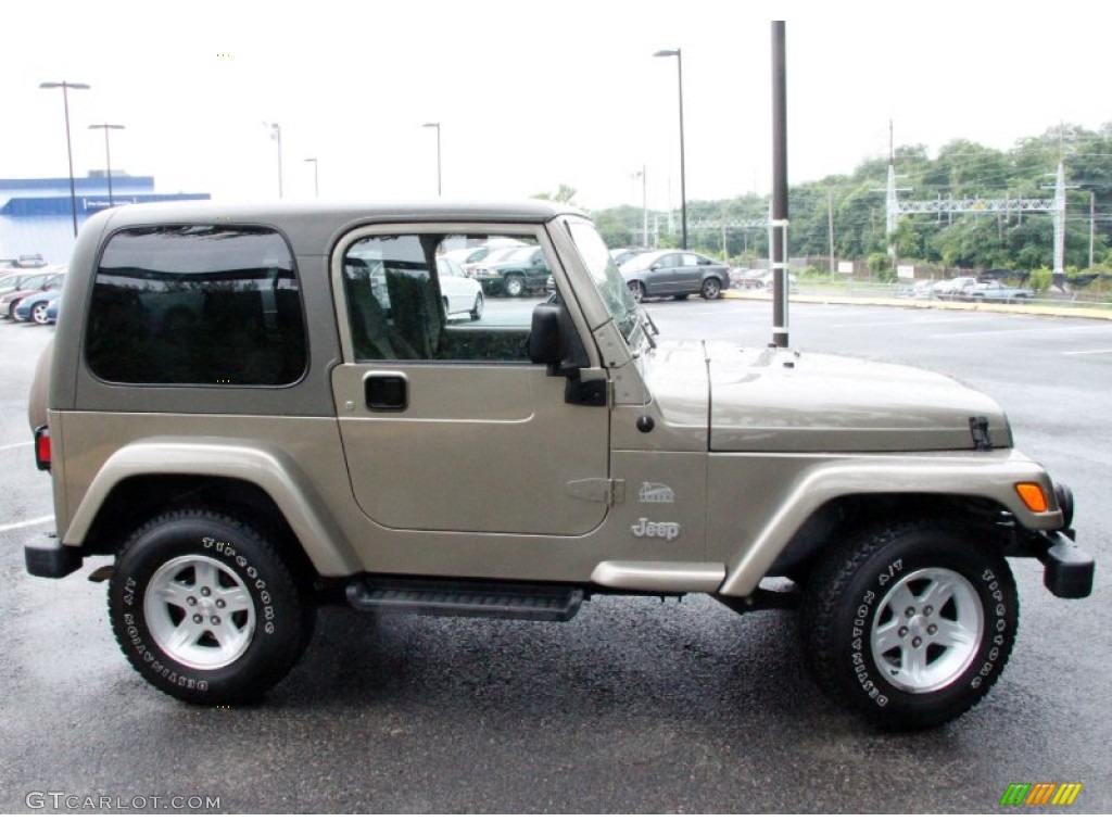 2004 Wrangler Sahara 4x4 - Light Khaki Metallic / Khaki photo #5