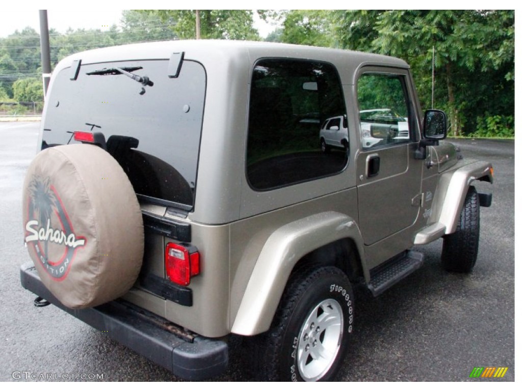 2004 Wrangler Sahara 4x4 - Light Khaki Metallic / Khaki photo #7