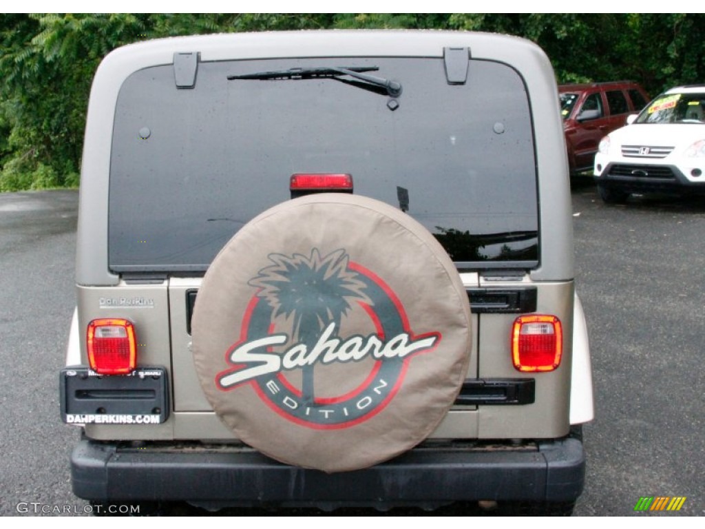 2004 Wrangler Sahara 4x4 - Light Khaki Metallic / Khaki photo #8