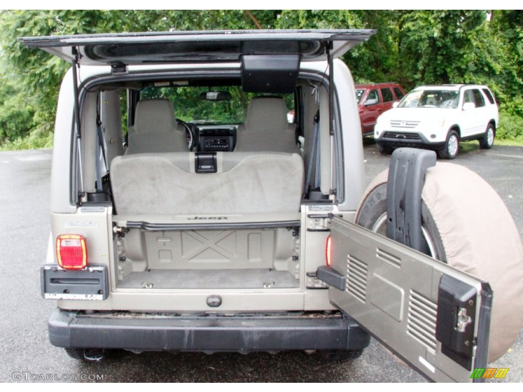 2004 Wrangler Sahara 4x4 - Light Khaki Metallic / Khaki photo #9