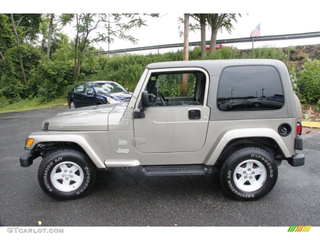2004 Wrangler Sahara 4x4 - Light Khaki Metallic / Khaki photo #11