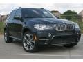 Platinum Gray Metallic 2012 BMW X5 xDrive50i Exterior