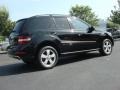 Black - ML 350 4Matic Photo No. 5