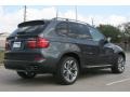 Platinum Gray Metallic - X5 xDrive50i Photo No. 2