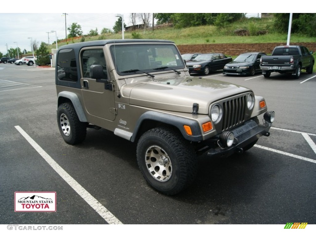 2003 Wrangler X 4x4 - Light Khaki Metallic / Dark Slate Gray photo #1