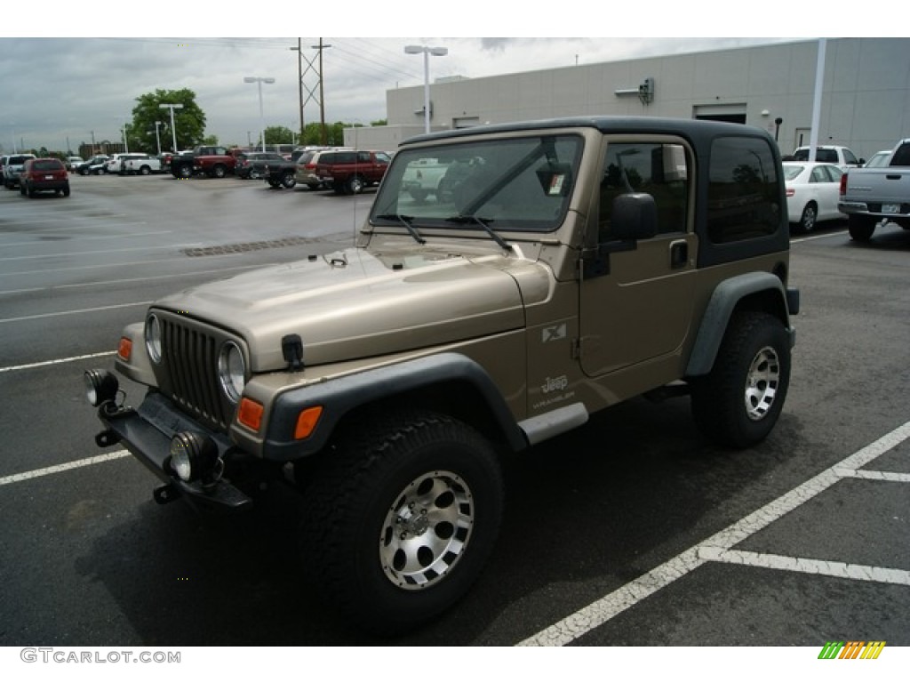 2003 Wrangler X 4x4 - Light Khaki Metallic / Dark Slate Gray photo #4