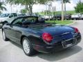 2005 Evening Black Ford Thunderbird Deluxe Roadster  photo #5