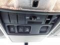 2010 Classic Silver Metallic Toyota 4Runner SR5 4x4  photo #48