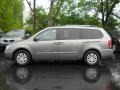 2011 Titanium Silver Kia Sedona LX  photo #11