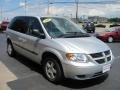 Bright Silver Metallic - Caravan SXT Photo No. 16
