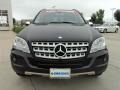 Black - ML 350 4Matic Photo No. 2