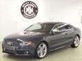 Meteor Grey Pearl Effect - S5 4.2 quattro Photo No. 4