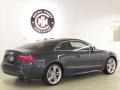 Meteor Grey Pearl Effect - S5 4.2 quattro Photo No. 7