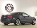 Meteor Grey Pearl Effect - S5 4.2 quattro Photo No. 8