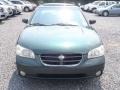 Sherwood Green Metallic - Maxima GLE Photo No. 7