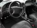 Dark Charcoal 2004 Ford Mustang V6 Coupe Interior Color