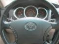 Titanium Metallic - 4Runner SR5 4x4 Photo No. 27