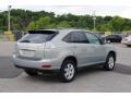 Bamboo Pearl - RX 330 AWD Photo No. 5