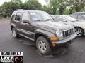 2005 Dark Khaki Pearl Jeep Liberty CRD Limited 4x4  photo #1