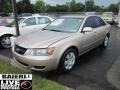 Golden Beige - Sonata GLS Photo No. 1