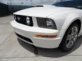 2009 Performance White Ford Mustang GT Coupe  photo #11