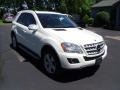 Arctic White - ML 350 4Matic Photo No. 2