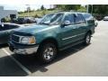 1998 Pacific Green Metallic Ford Expedition XLT 4x4  photo #4