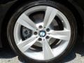 2010 BMW 3 Series 335i Sedan Wheel and Tire Photo