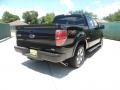 2010 Tuxedo Black Ford F150 FX2 SuperCrew  photo #3