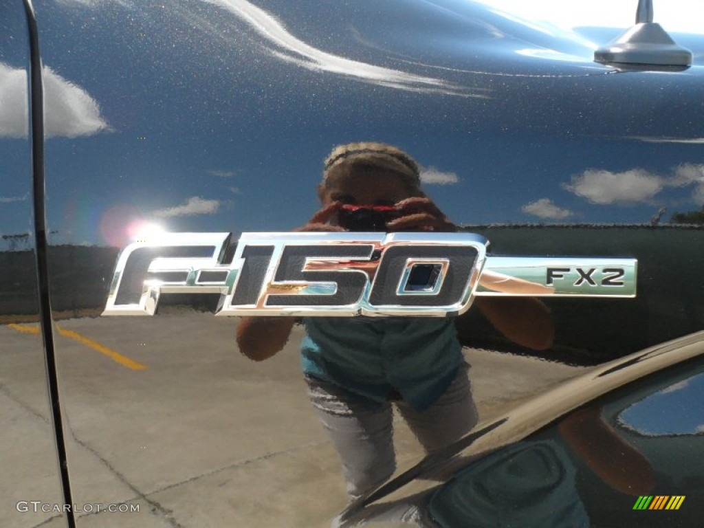 2010 F150 FX2 SuperCrew - Tuxedo Black / Black photo #16