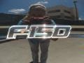 2010 Tuxedo Black Ford F150 FX2 SuperCrew  photo #23