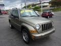 Light Khaki Metallic - Liberty Renegade 4x4 Photo No. 7