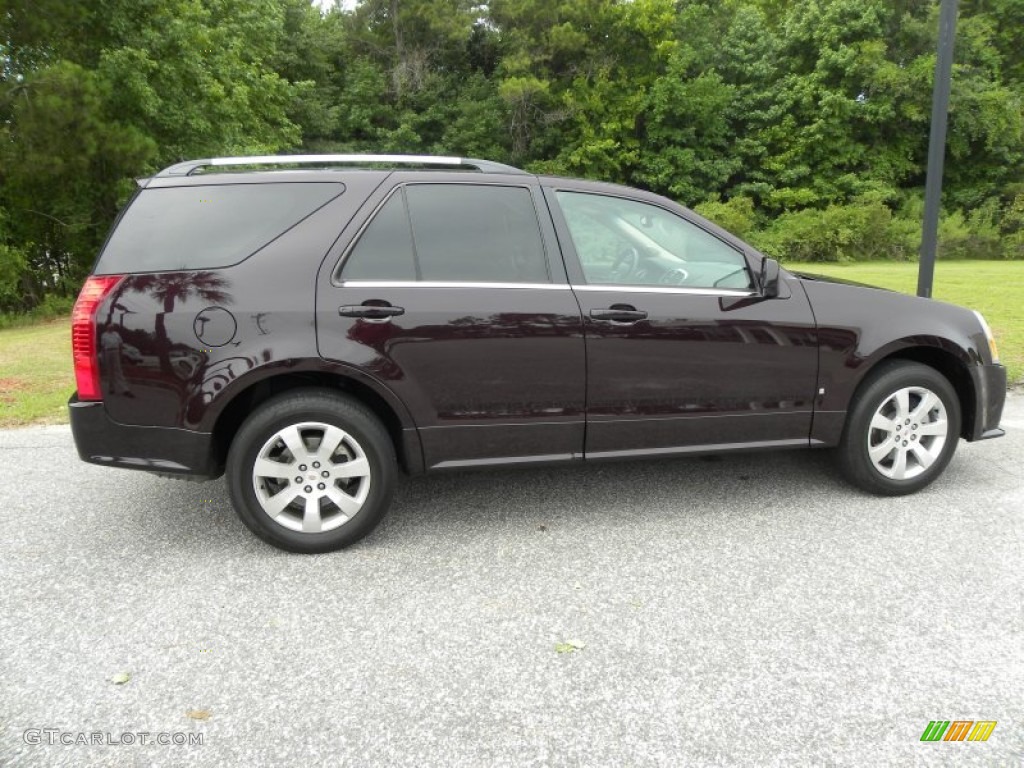 2008 SRX V6 - Black Cherry / Cashmere/Cocoa photo #13