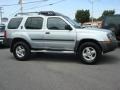 Silver Ice Metallic - Xterra SE V6 Photo No. 6