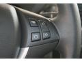 Saddle Brown Controls Photo for 2010 BMW X5 #50942778