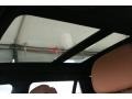 Saddle Brown Sunroof Photo for 2010 BMW X5 #50942856