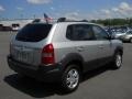 Platinum Silver - Tucson SE 4WD Photo No. 2