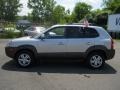 Platinum Silver - Tucson SE 4WD Photo No. 13
