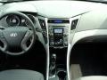 Radiant Silver - Sonata GLS Photo No. 25