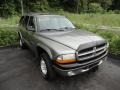 1999 Light Driftwood Satin Glow Dodge Durango SLT 4x4  photo #1